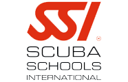 ssi logo